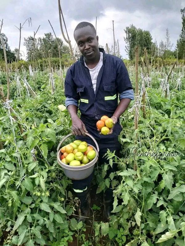Farmers learning modern agriculture techniques